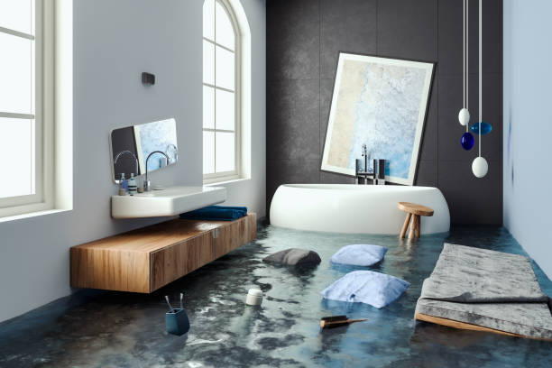 Best Mold removal after water damage  in Lakeway, TX