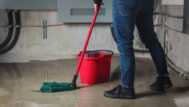 Best Professional water damage repair  in Lakeway, TX