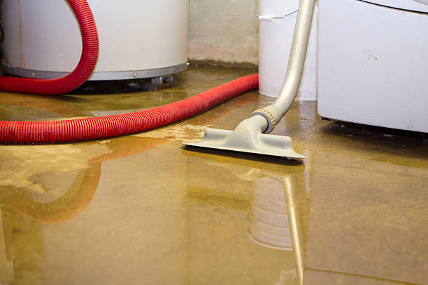 Best Water damage contractors near me  in Lakeway, TX