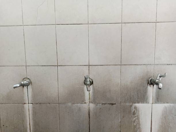 Best Flood damage cleanup  in Lakeway, TX
